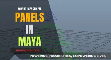 Unlocking Maya's Camera Panels: A Step-by-Step Guide