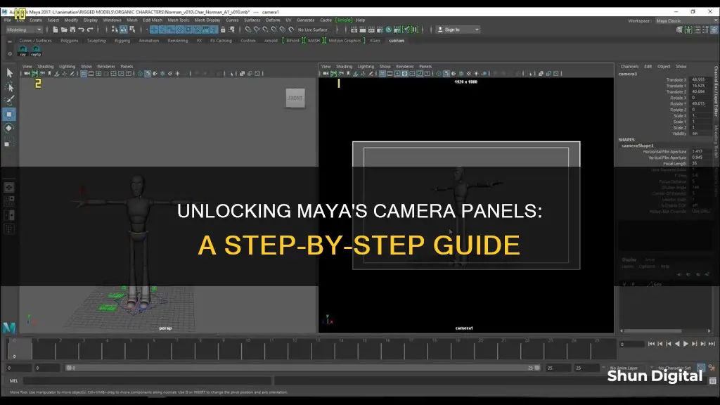 how do I see camera panels in maya