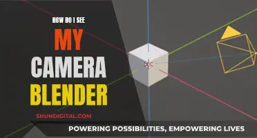 Blender Camera Viewing: A Step-by-Step Guide