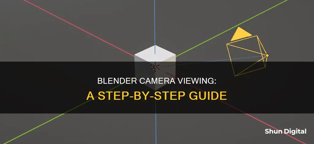 how do I see my camera blender