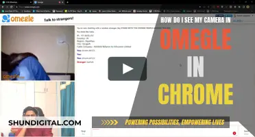 Unleashing Chrome's Omegle Camera: Troubleshooting Guide