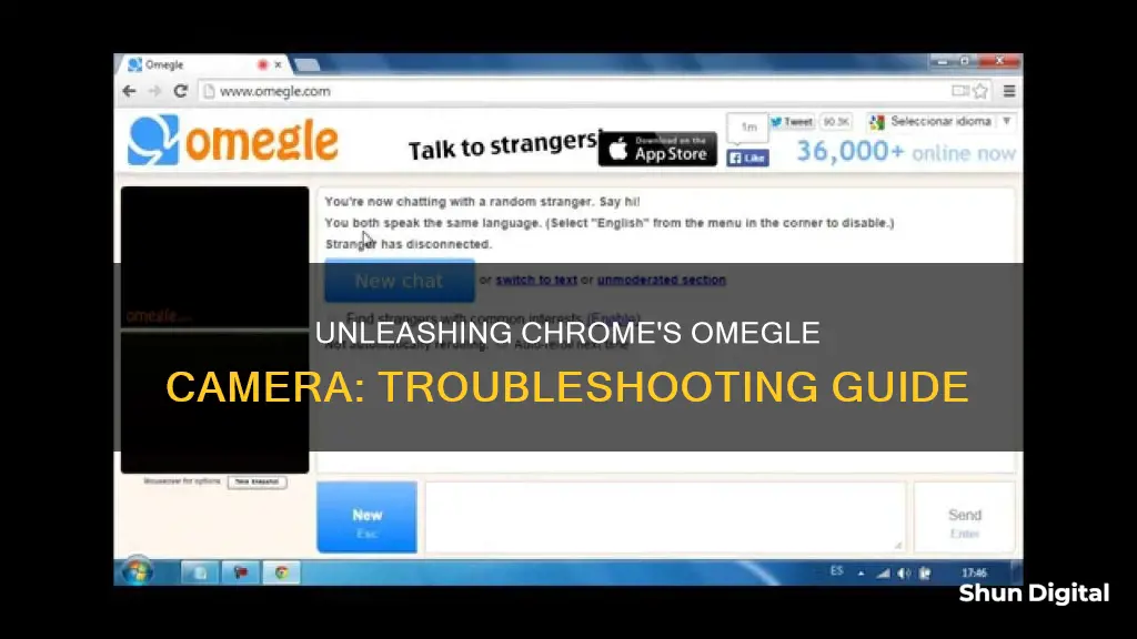 how do I see my camera in omegle in chrome