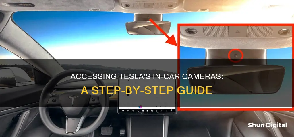 how do I see the camera on my tesla