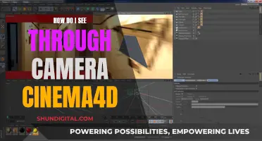 Mastering Camera Views in Cinema 4D: A Guide