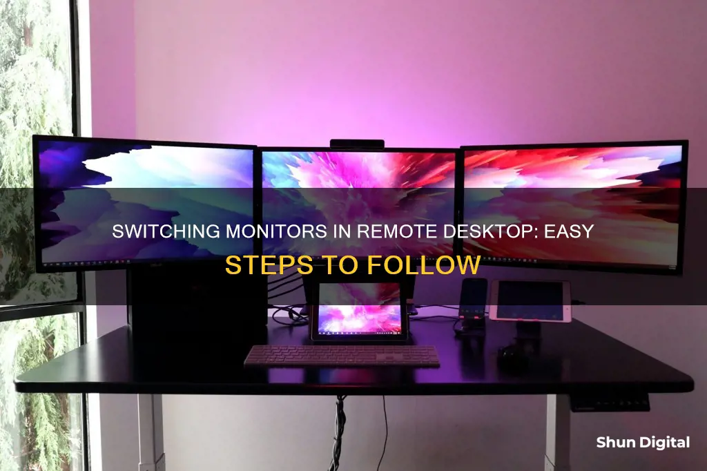 how do i switch between monitors in remote desktop