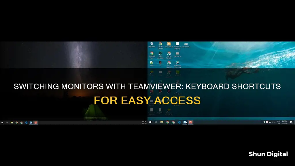 how do i switch monitors with teamviewer keyboard