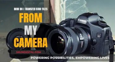 Transferring Raw Camera Files: A Step-by-Step Guide