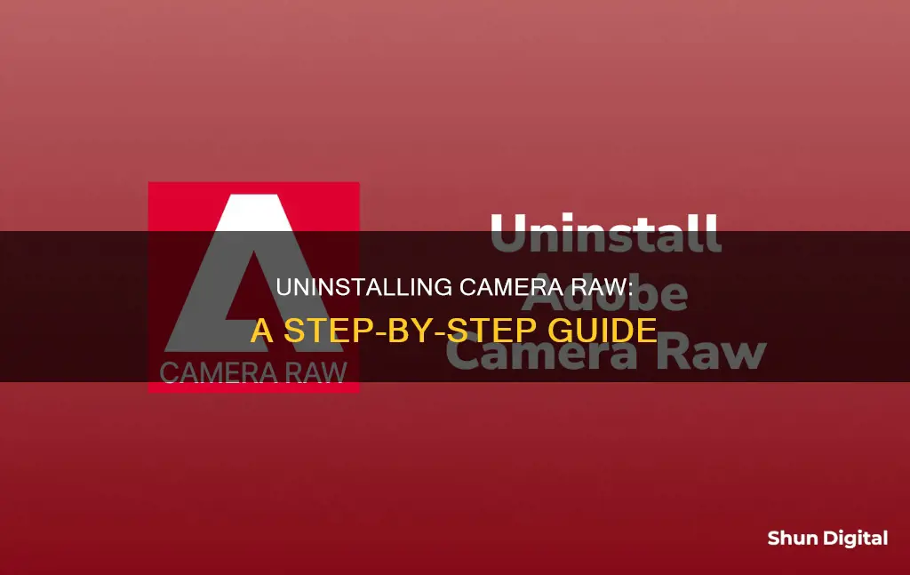how do I uninstall camera raw