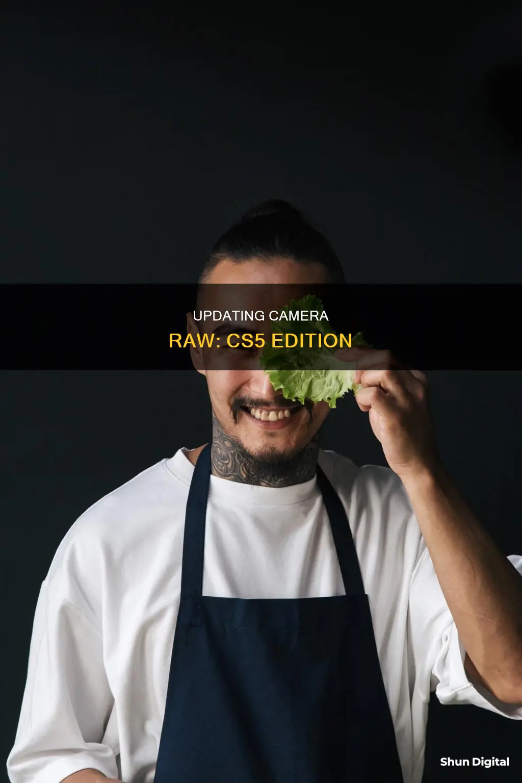 how do I update cs5 camera raw