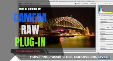 Updating Camera Raw: Plug-In Essentials