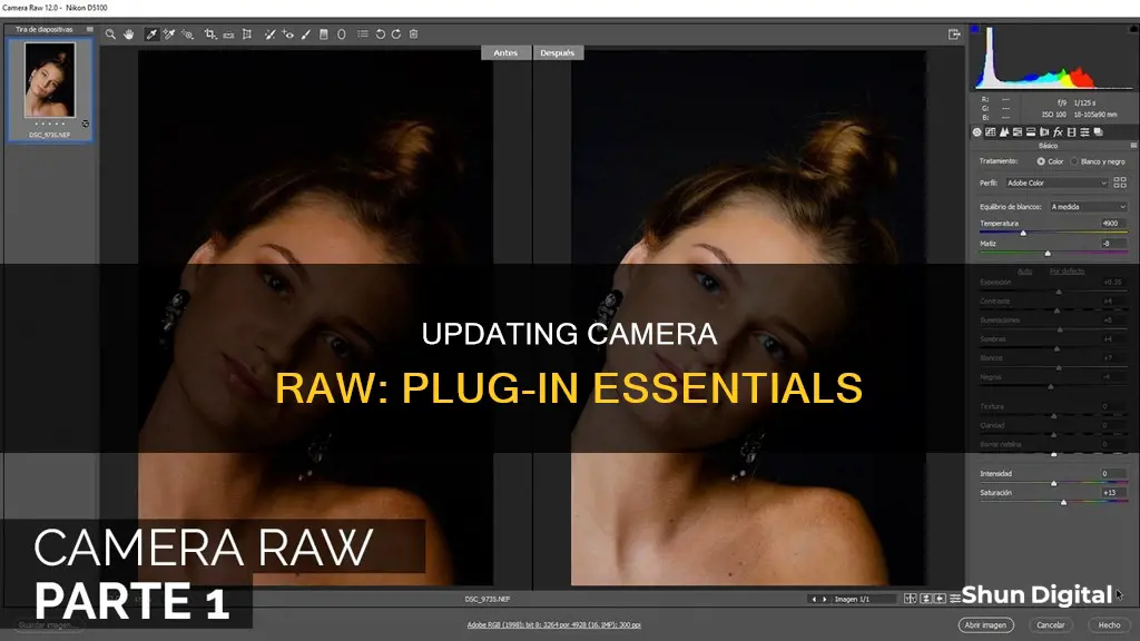 how do I update my camera raw plug-in