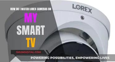 Smart TV and Lorex Cameras: Seamless Viewing Experience