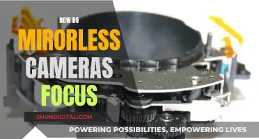 Mirrorless Camera Focusing: How Does It Work?