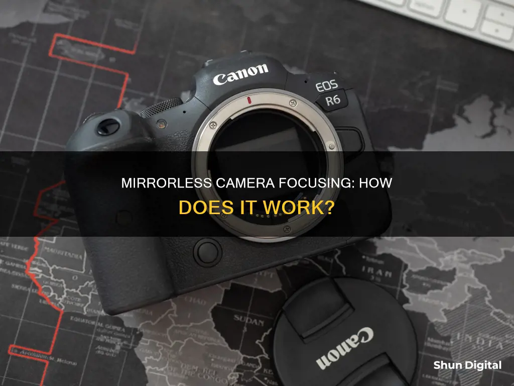 how do mirorless cameras focus