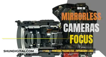 Mirrorless Cameras: Focusing Secrets Unveiled