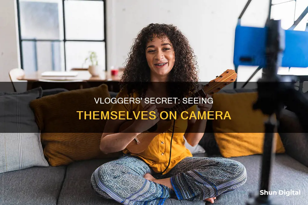 how do vloggers see themselves on camera