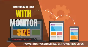 Websites' Dynamic Tracking: Adapting to Monitor Sizes