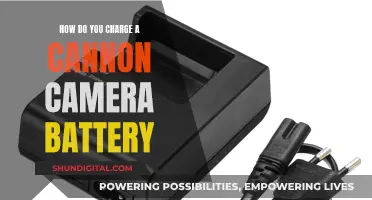 Charging Your Canon Camera Battery: A Step-by-Step Guide