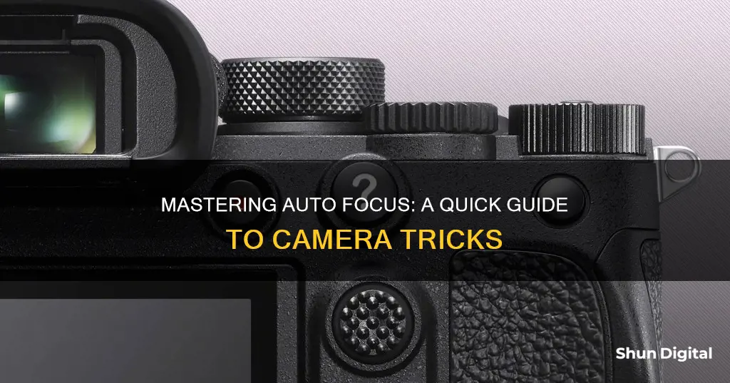 how do you engage the auto focus on most cameras