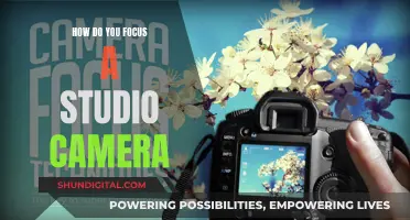 Focusing a Studio Camera: The Ultimate Guide