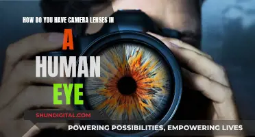 Human Eye: The Natural Camera Lens