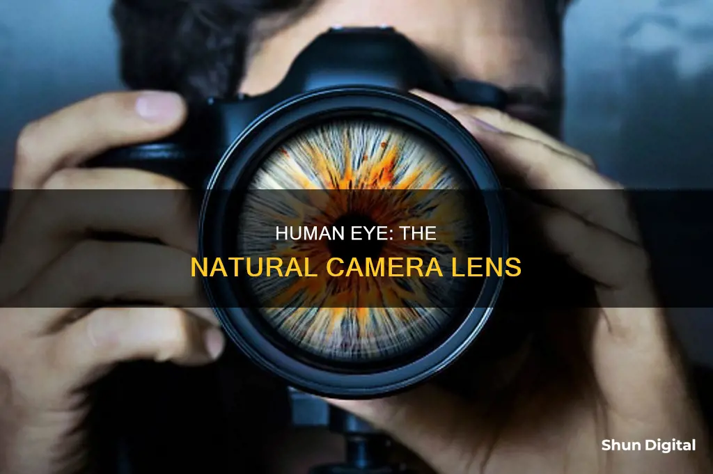 how do you have camera lenses in a human eye