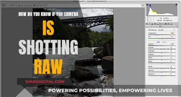 Understanding Your Camera's RAW Settings