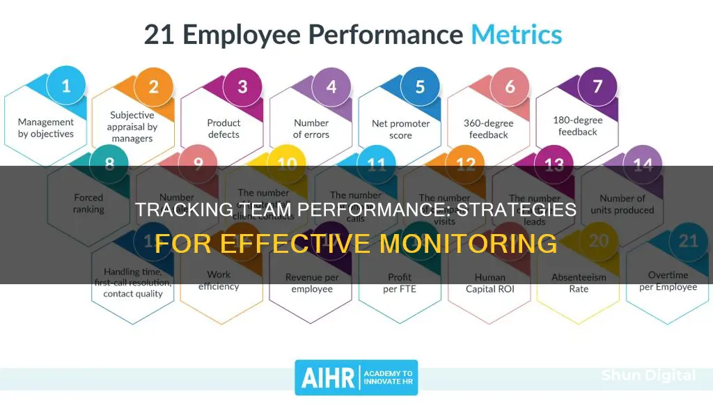 how do you monitor performance of individual team members