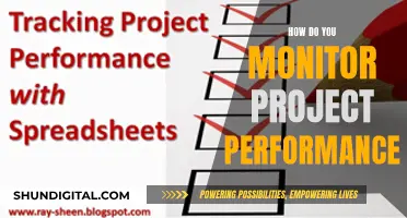 Monitoring Project Performance: Key Strategies for Success