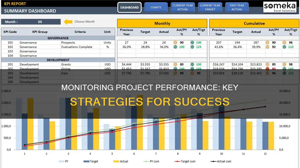 how do you monitor project performance