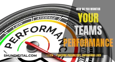 Tracking Team Performance: Strategies for Effective Monitoring