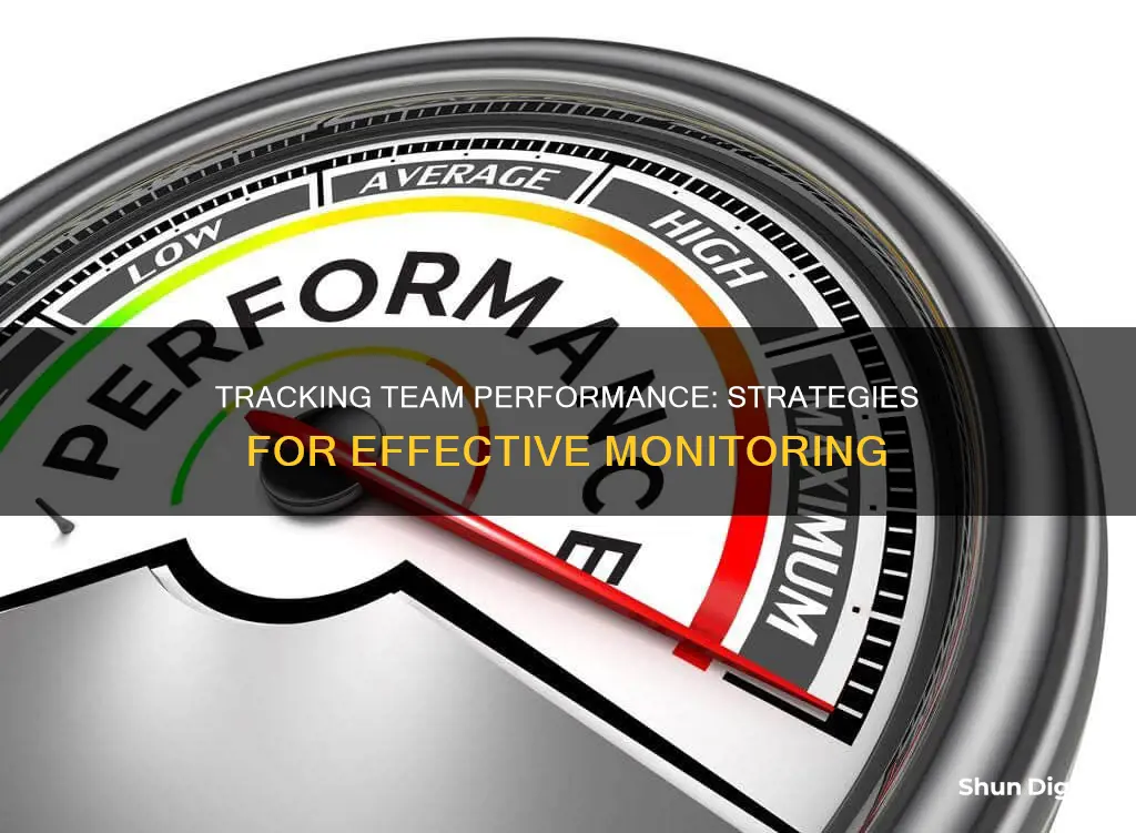 how do you monitor your teams performance