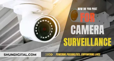 Choosing the Right Spot for Camera Surveillance