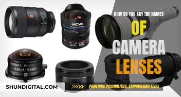 Mastering the Art of Pronouncing Camera Lens Names