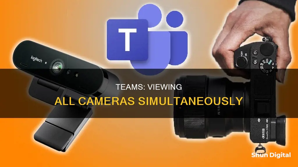 how do you see all cameras on teams