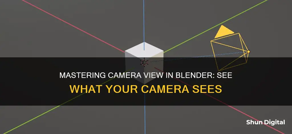 how do you see what your camera sees in blender