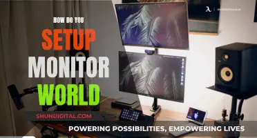 Setting Up Monitor World: A Comprehensive Guide