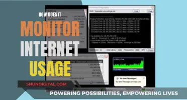 Monitoring Internet Usage: Who's Watching and How?