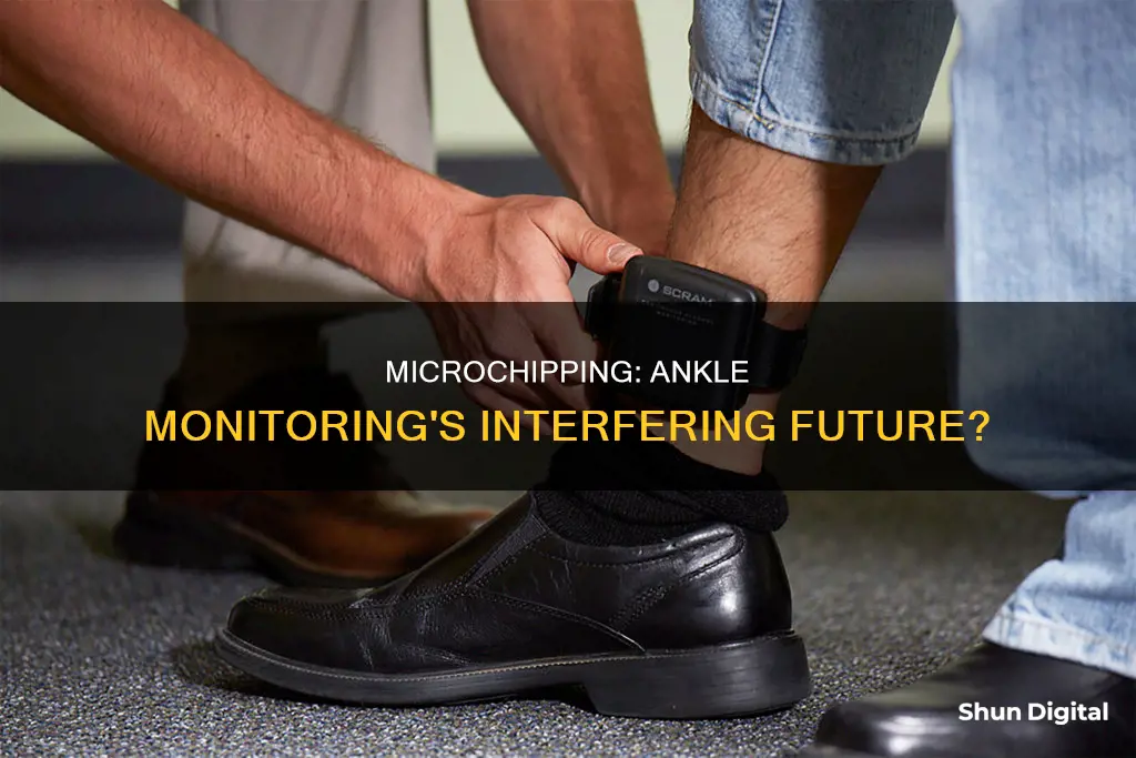 how does microchipping interfere with ankle monitoring