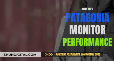 Patagonia's Performance Monitoring Strategies: Secrets to Success