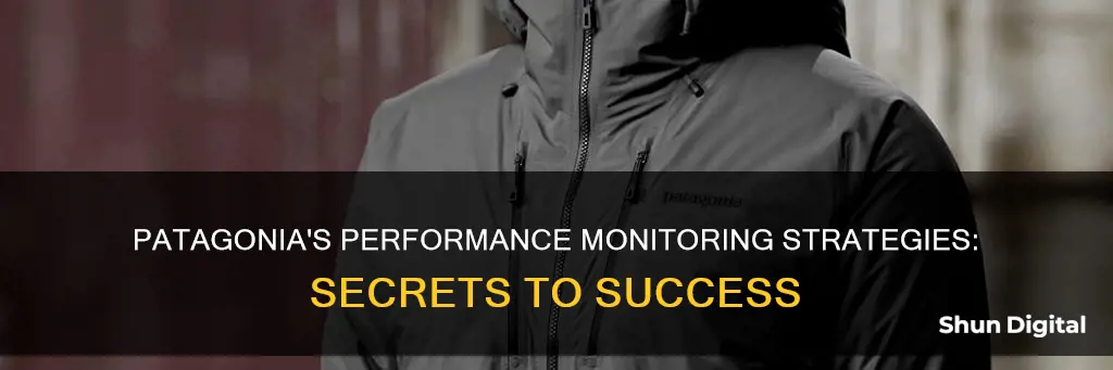 how does patagonia monitor performance