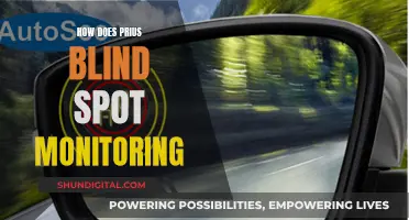 Blind Spot Monitoring: How Does the Prius Watch Your Back?