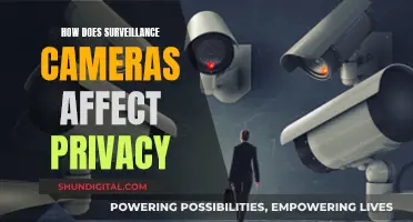 Surveillance Cameras: Privacy's Double-Edged Sword