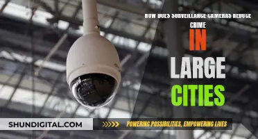 Surveillance Cameras: Crime Reduction in Large Cities