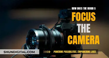 Ronin S Camera Focus: Mastering the Art of Stabilization