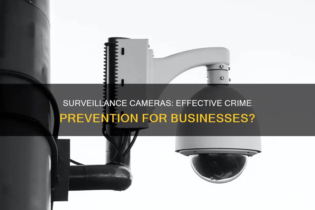 how effective are surveillance cameras to prevent crime for businesses