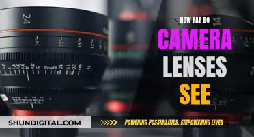 Capturing Distance: Camera Lenses' Visionary Power