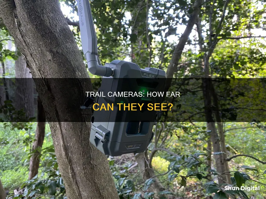 how far do trail cameras see