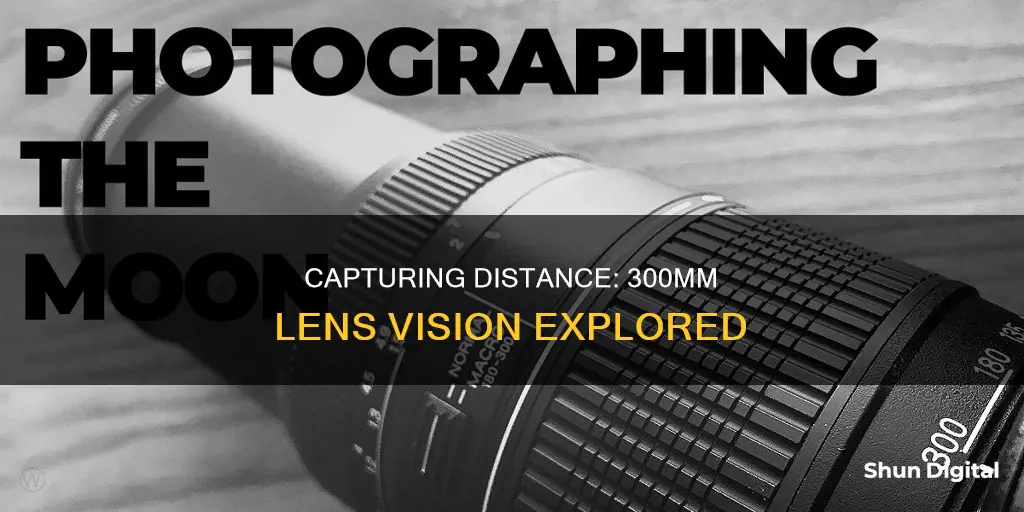 how far does a 300 mm camera lense see