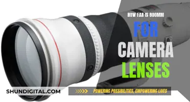 Understanding the Reach of 800mm Camera Lenses